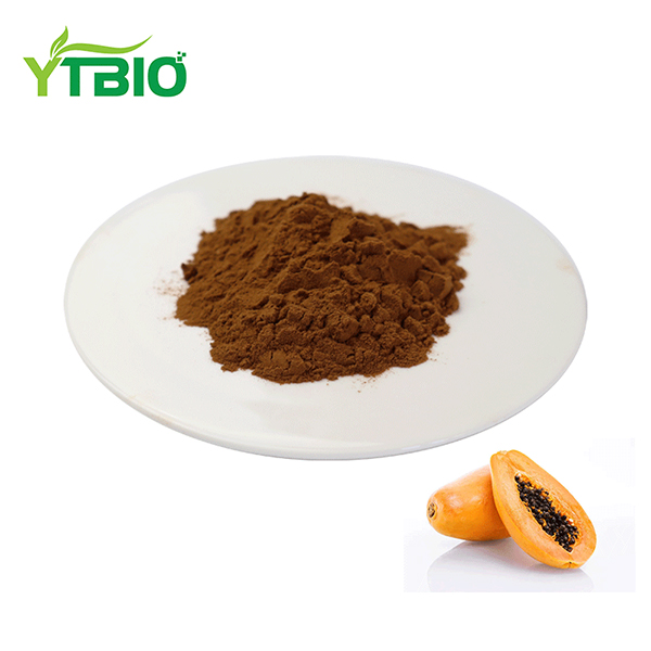 Papaya Extract Powder